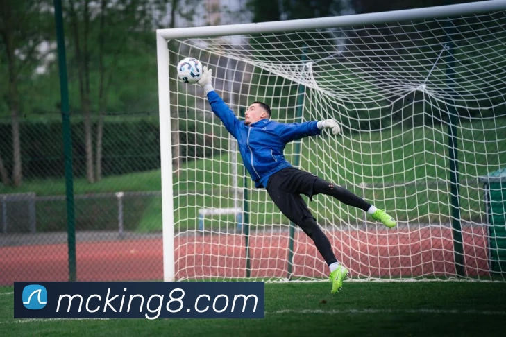 多媒体互动体验